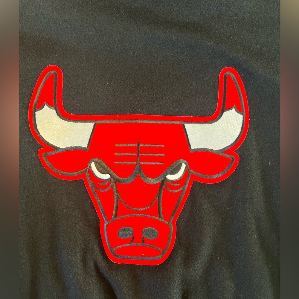 Vintage Chalk Line Chicago Bulls Leather & Wool Letterman Jacket - Picture 7 of 10